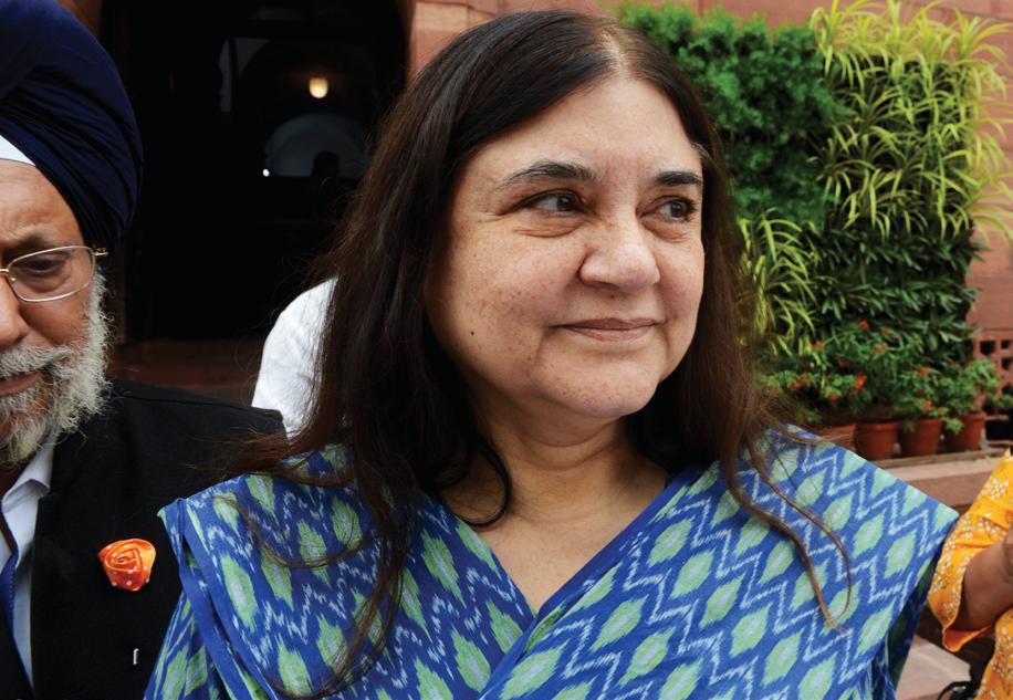 SC raps Maneka Gandhi for public remarks criticising stray dog order