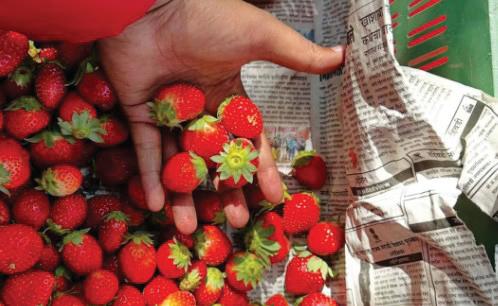 FACT CHECK: Does the Strawberry-Dark Chocolate Combo Really Help Period Pain?