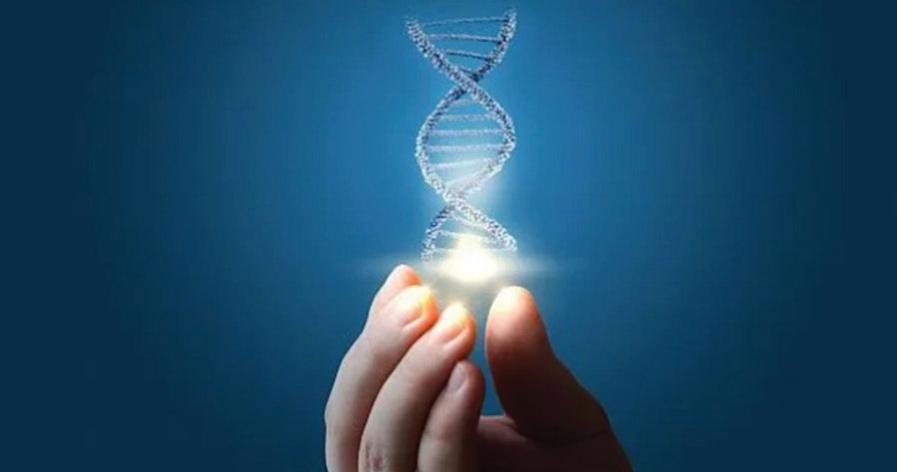 RUSSIA DEVELOPS DNA SENSOR FOR ANTIOXIDANT TESTING