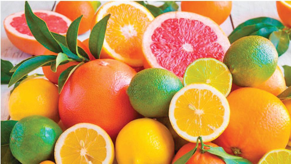 NOURISHING IMMUNITY THROUGH DAILY FOOD CHOICES
