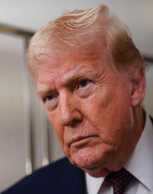 Trump backs proposal for world’s largest triumphal arch in DC