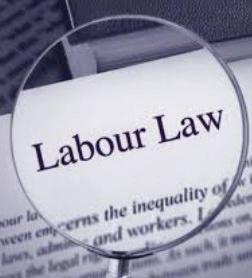 Does labour law apply to state functions? 9-judge SC bench to decide scope of ‘industry’