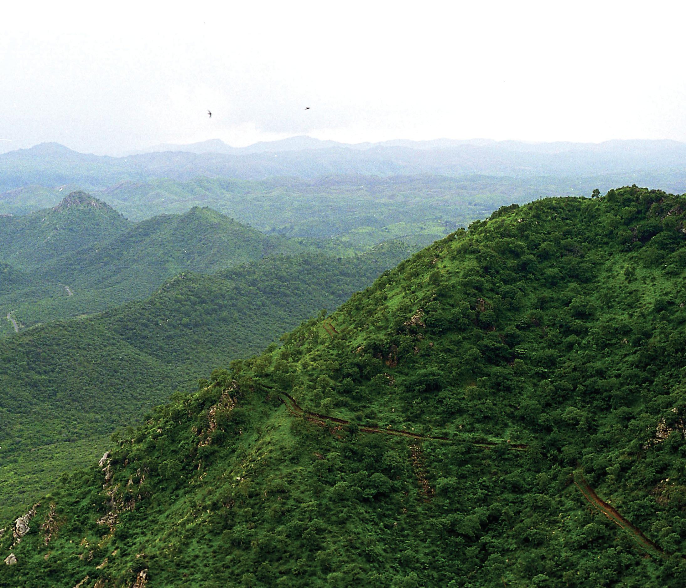 PROTECTING ARAVALLI HILLS