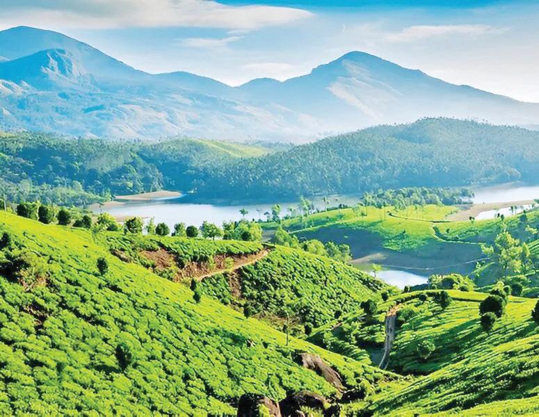 COLORS AND CULTURE OF SOUTH INDIA