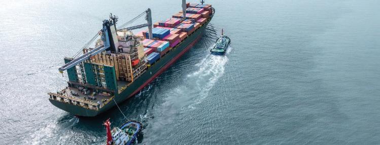 NO RESTRICTION ON CARGO DISCHARGE FOR VESSELS COMPLYING WITH INDIAN RULES: GOVT