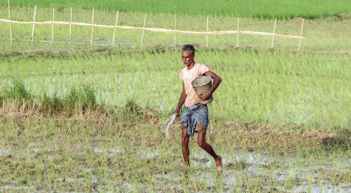 Indian agriculture at risk from weak monsoon, El Nino, West Asia war
