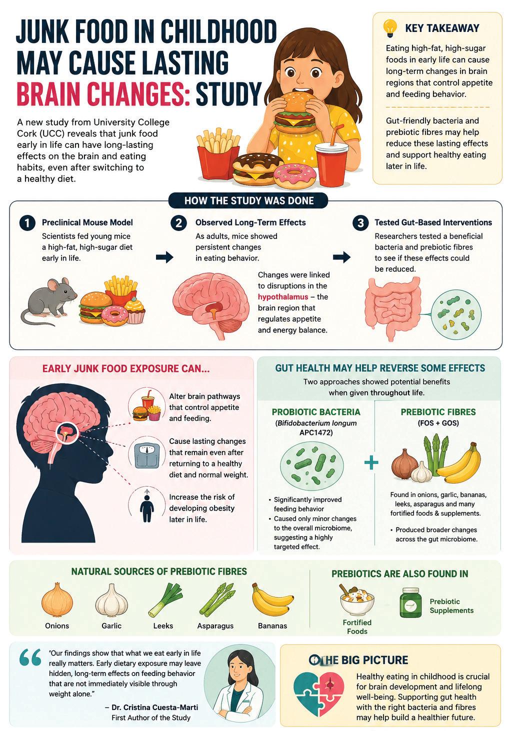 Junk food in childhood may cause lasting brain changes: Study