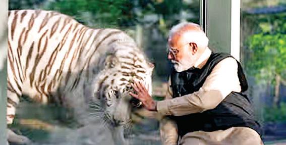 भारत वन्य जीवों का जश्न मनाने वाली संस्कृति से समृद्ध : पीएम