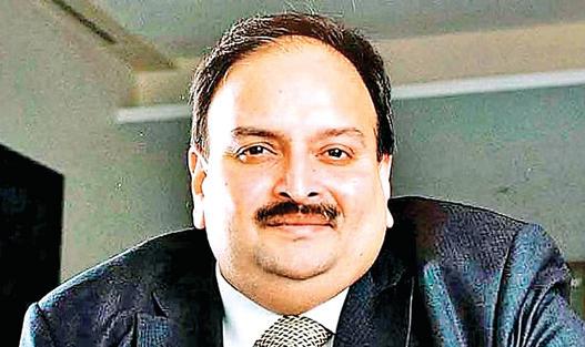 भगोड़े कारोबारी मेहुल चोकसी को भारत लाए जाने की तैयारी