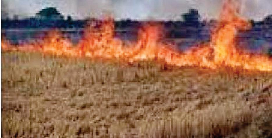 फसलों में लगती आगः किसान की मेहनत का जलता सपना
