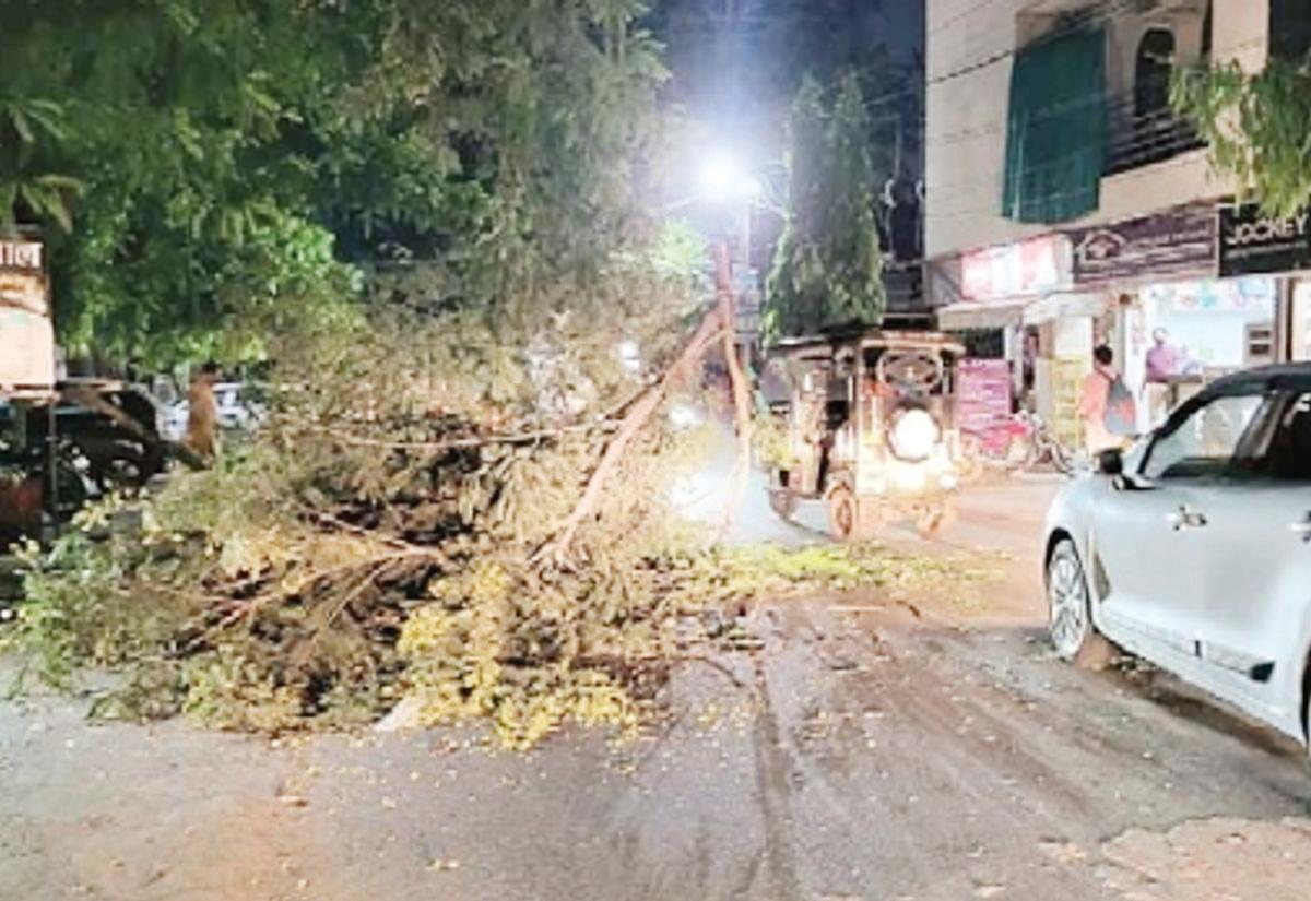 यूपी-बिहार में बिजली गिरने से 4 की मौत, 21 राज्यों में बारिश-तूफान का अलर्ट