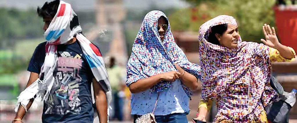 भीषण गर्मी में स्वयं के साथ बेजुबानों का भी रखें ध्यान !
