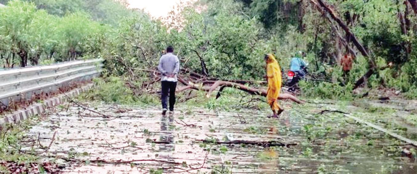 यूपी में अंधड़-बारिश से जानमाल और आम की फसल को नुकसान, 42 मौतें