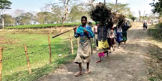 भारत ने 17 करोड़ से अधिक लोगों को घोर गरीबी से बाहर निकाला