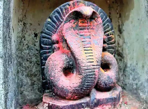 आखिर लोग घर में पीतल की बनी सर्प की मूर्तियां क्यों रखते हैं