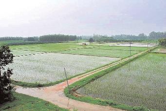 जून में सामान्य से 19% ज्यादा बारिश, बठिंडा में सबसे गर्म, बांधों का जलस्तर बढ़ा