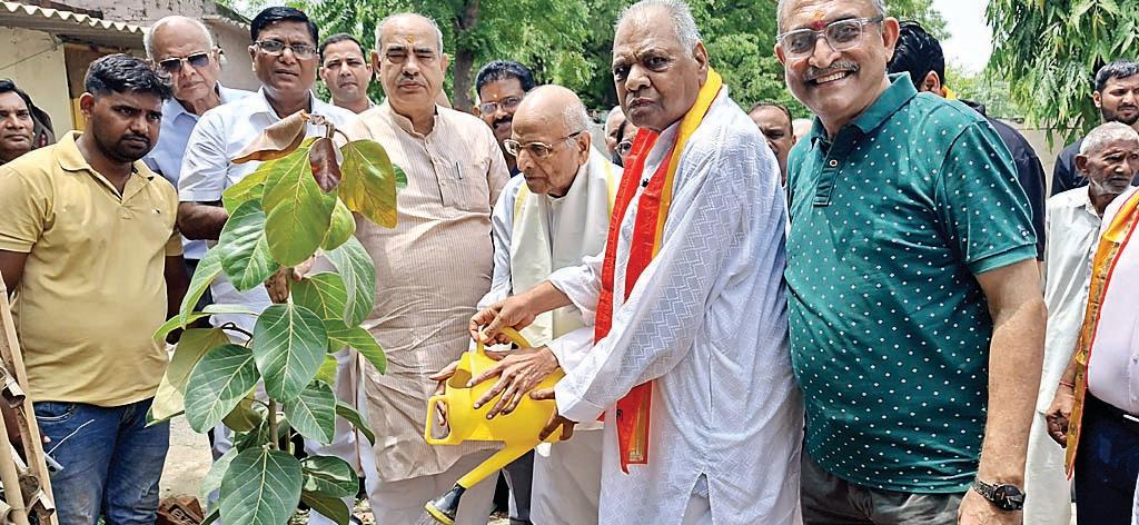 जन्म से लेकर मृत्यु तक हर अनुष्ठान में काम आता है पौधा
