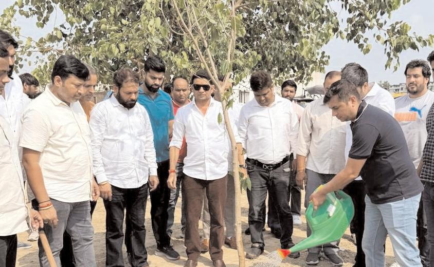 देवेंद्र चौधरी के जन्मदिवस पर भाजपाईयों ने रोपे पौधे