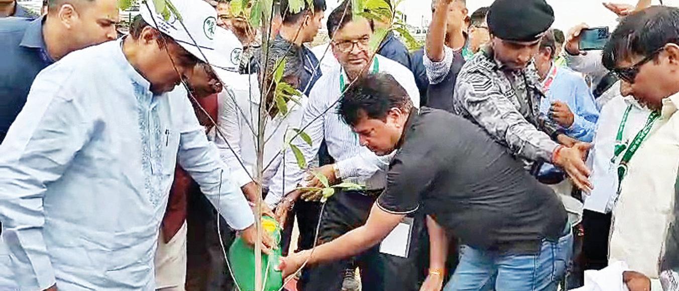 नितिन गडकरी ने किया 'एक पेड़ मां के नाम 2.0' अभियान का शुभारंभ, बोले- मां की ममता को हरियाली में बदलें