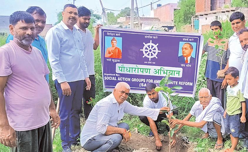 सागर संस्था ने ददसिया और टिकावली गाँवों में पौधारोपण कार्यक्रम किया