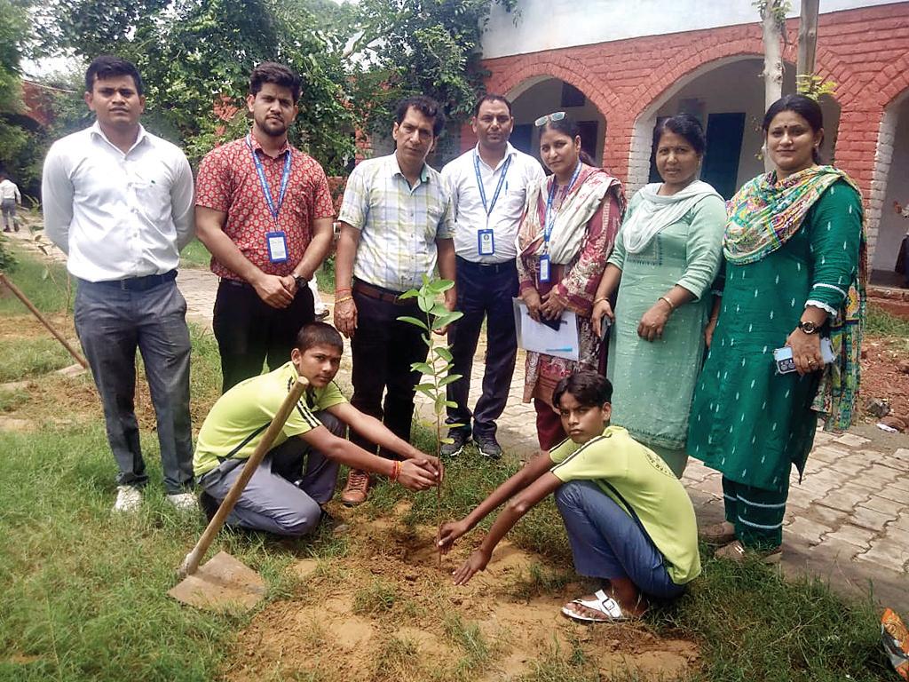 विद्यालय परिसर में लगाए फल व छायादार पौधे