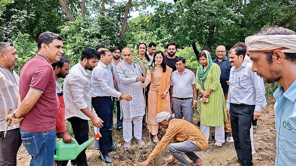 बल्लभगढ़ में पौधा लगाने की मुहिम जोरों पर, विधायक मूलचंद शर्मा ने दिया पर्यावरण बचाने पर जोर