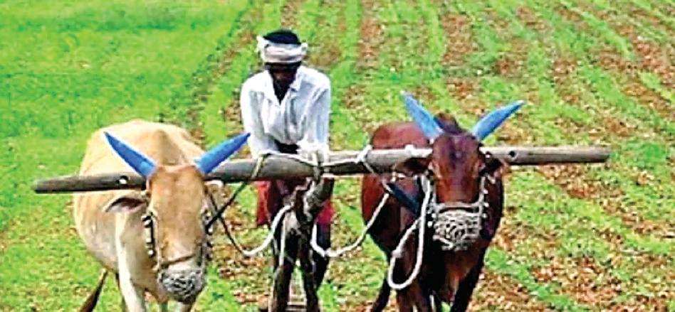 नीति बनी किसानों की जीवनरेखा