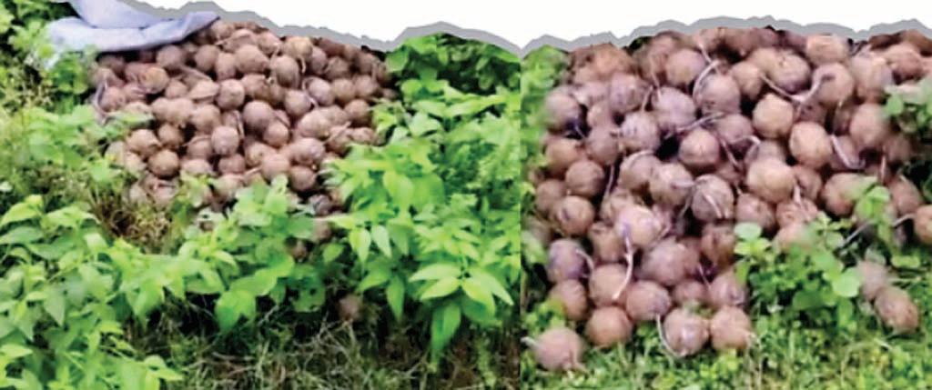 रायपुर में पाकिस्तानी हेरोइन सप्लायर चांद-गुरु पकड़ाए