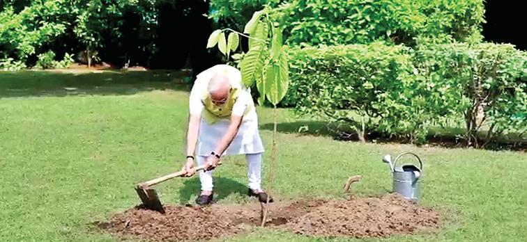 पीएम ने रोपा कदम्ब का पौधा, किंग चार्ल्स ने किया था गिफ्ट