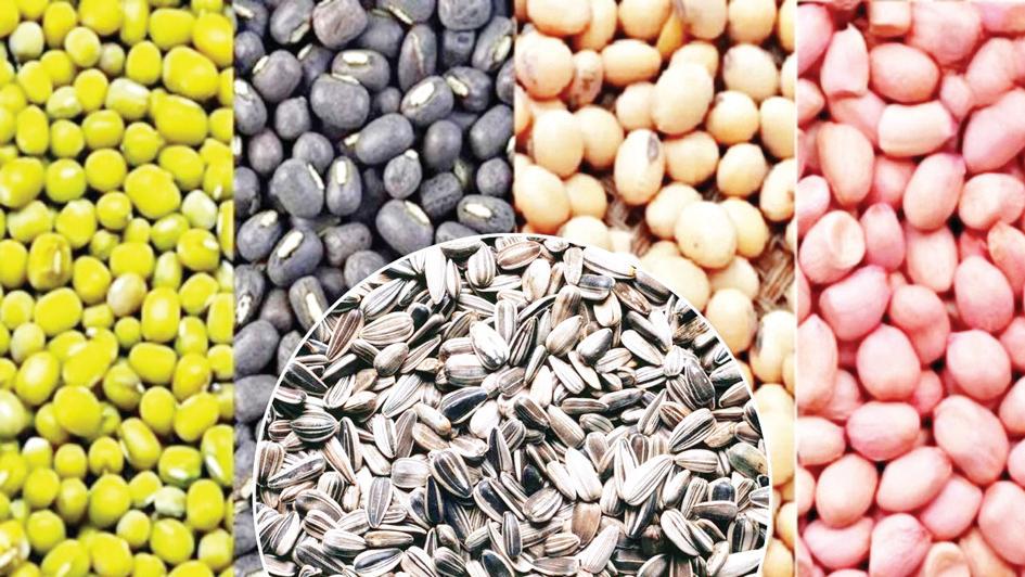केंद्र कर्नाटक से खरीदेगा मूंग, सूरजमुखी, मूंगफली और सोयाबीन