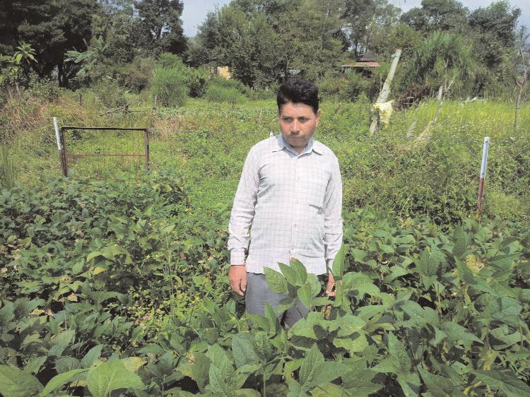प्रदेश सरकार की योजनाओं से प्रगतिशील किसान रोशन लाल की जिंदगी में आया बड़ा बदलाव
