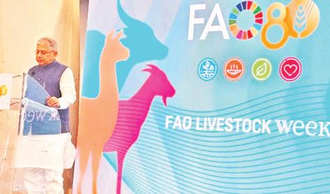 देश की अर्थव्यवस्था में 5.5% का योगदान: राजीव रंजन सिंह