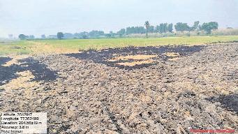 फसल अवशेष जलाने पर जिला प्रशासन ने की कड़ी कार्यवाही : डा. बाबूलाल