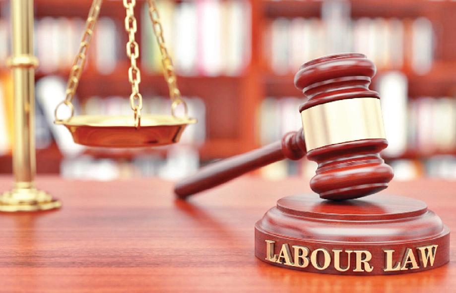 भारत के नए श्रम कानूनों को अंतरराष्ट्रीय श्रम संगठन ने सराहा