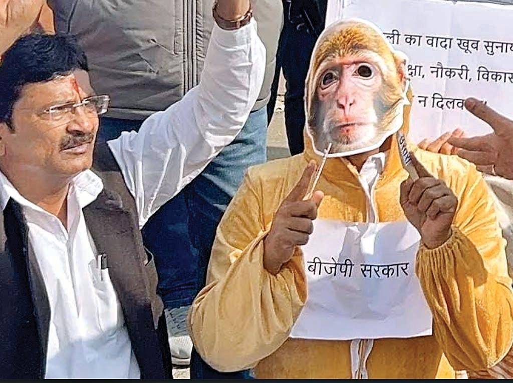'बंदर' की ड्रेस में मध्य प्रदेश के कांग्रेस विधायकों ने किया प्रदर्शन