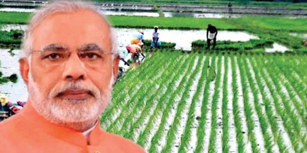 कृषि के क्षेत्र में भारत ने गढ़ा कामयाबी का नया मुकाम
