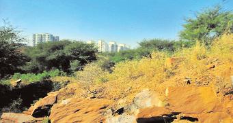 2030 तक अरावली संरक्षण के लिए हरियाणा की ठोस कार्ययोजना