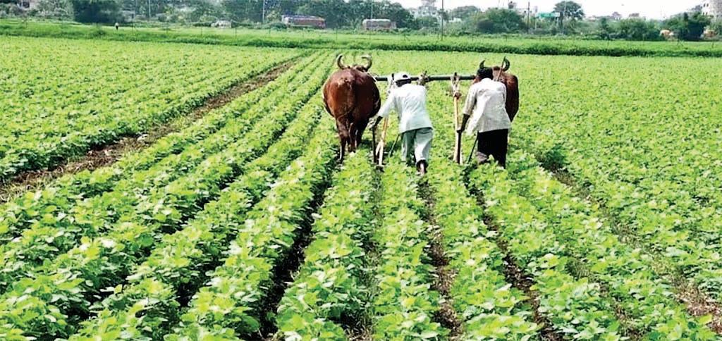 भूमि मुआवजा घोटाले में 10 अधिकारी नामजद