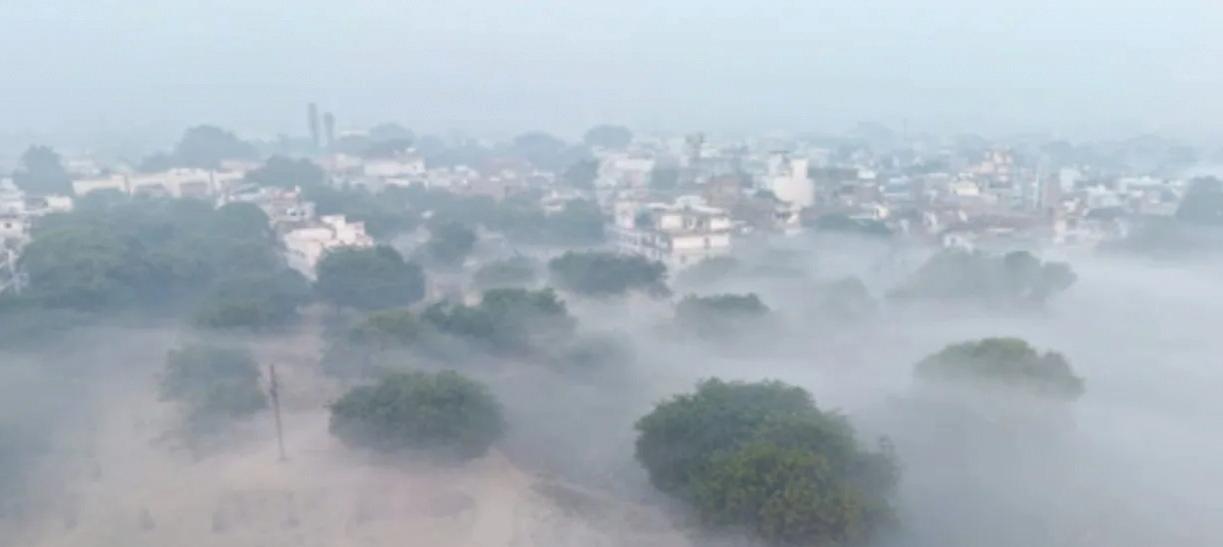 घने कोहरे और कोल्ड डे का अलर्ट
