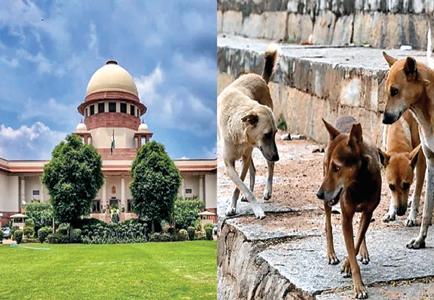 सरक्षित सोसाइटी में कल को कोई भैंस ले आए तो क्या करेंगे