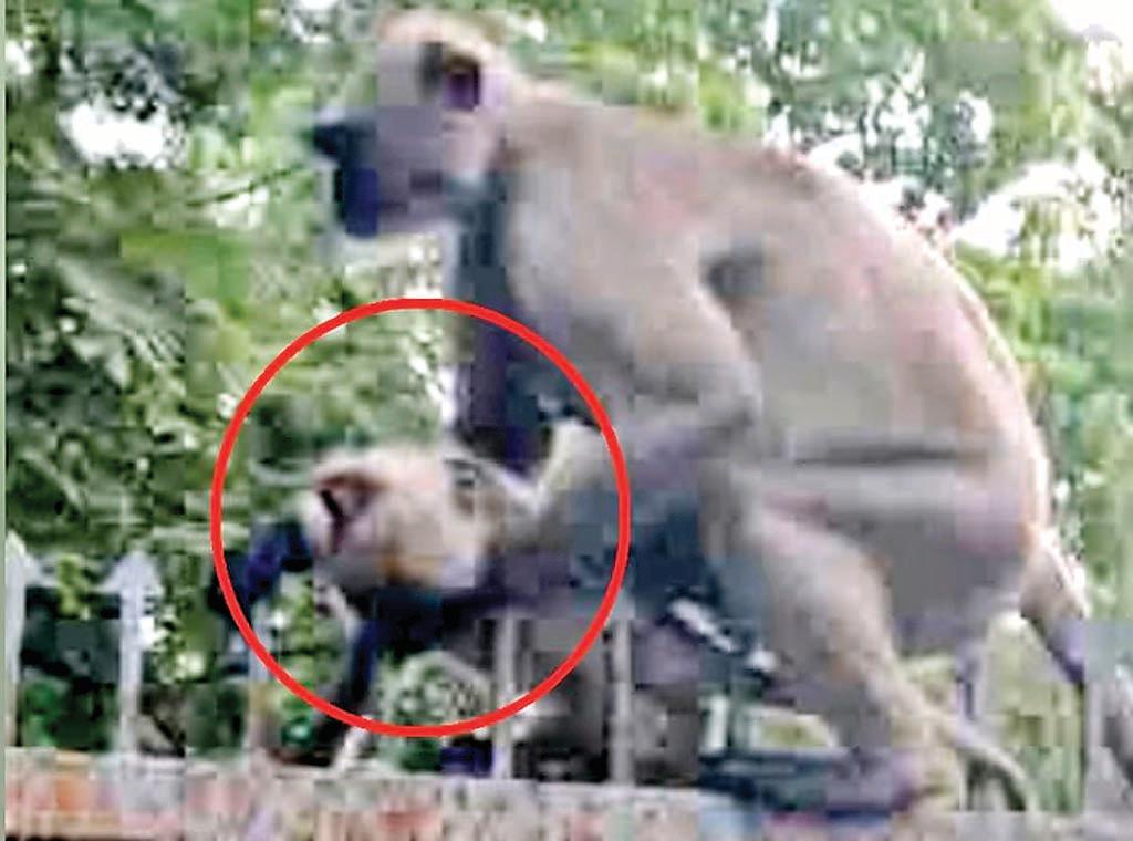 कभी जमीन पर रखती तो कभी गले लगाती, करंट से मरा बच्चा