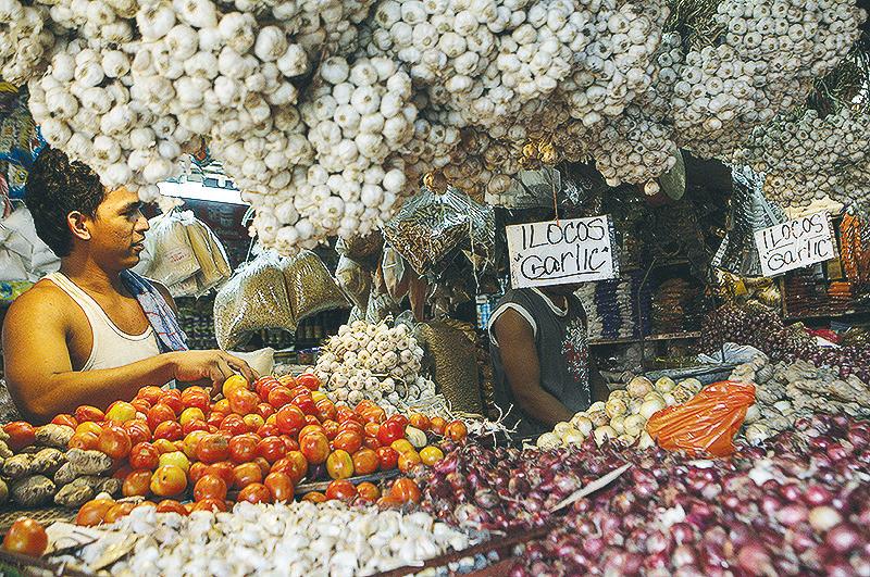 DA may impose MSRP for imported garlic
