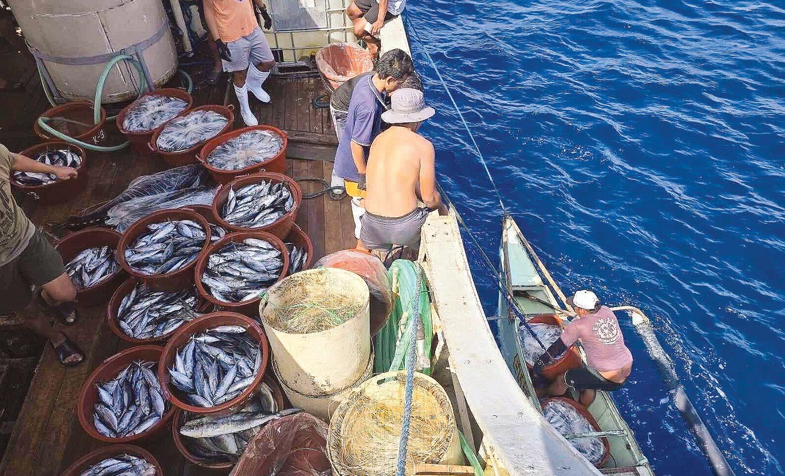 Living our independence with unity, vigilance, and resolve