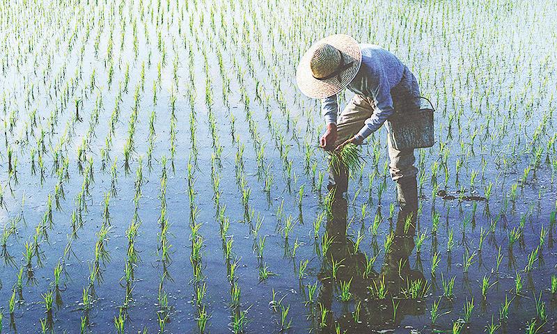 Marcos says tech critical to attracting younger farmers