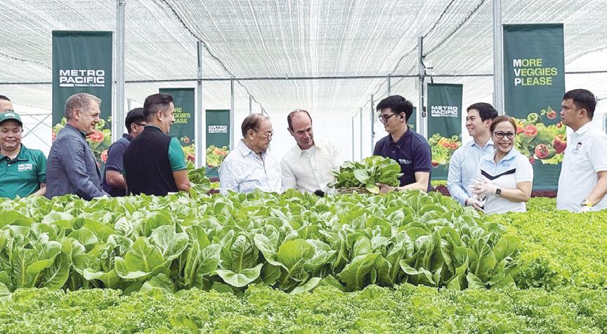 Our romance with ‘small is beautiful’ and how large businesses provide needed remedies