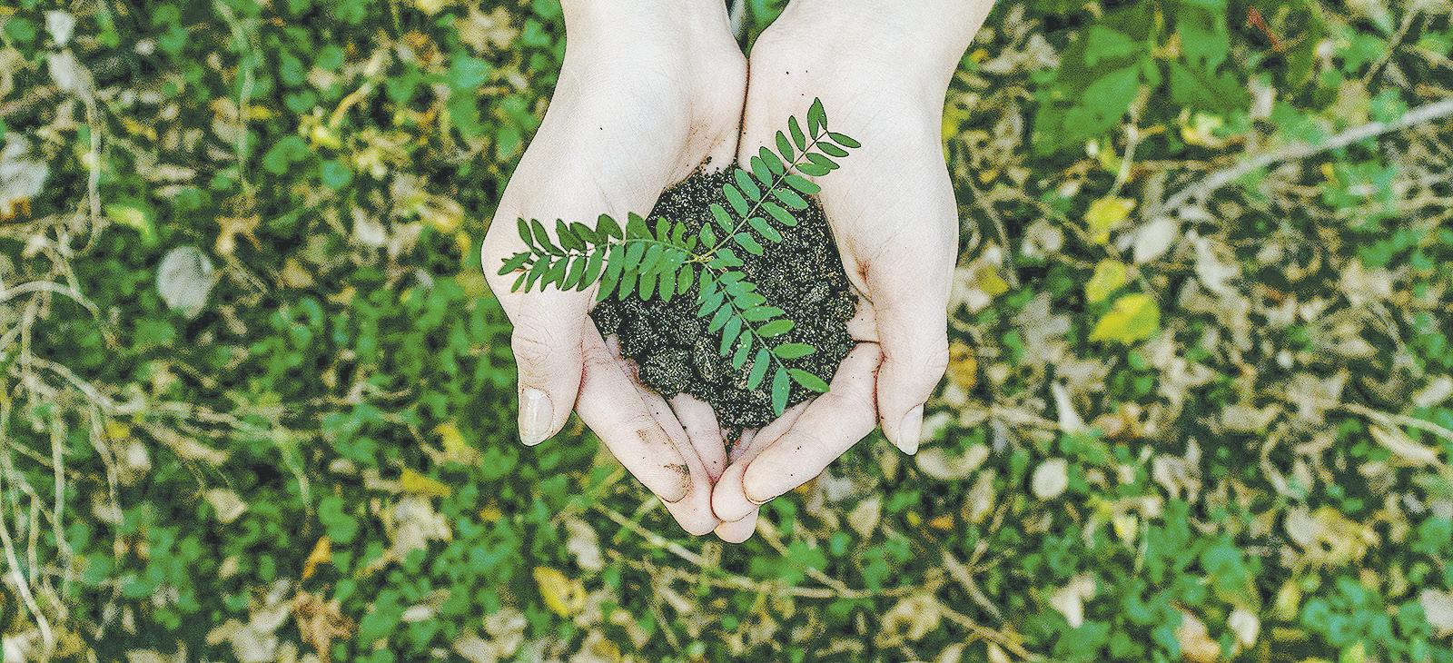 Global Ideas, Local Impact: What the Philippines can learn from international sustainability laws — 2