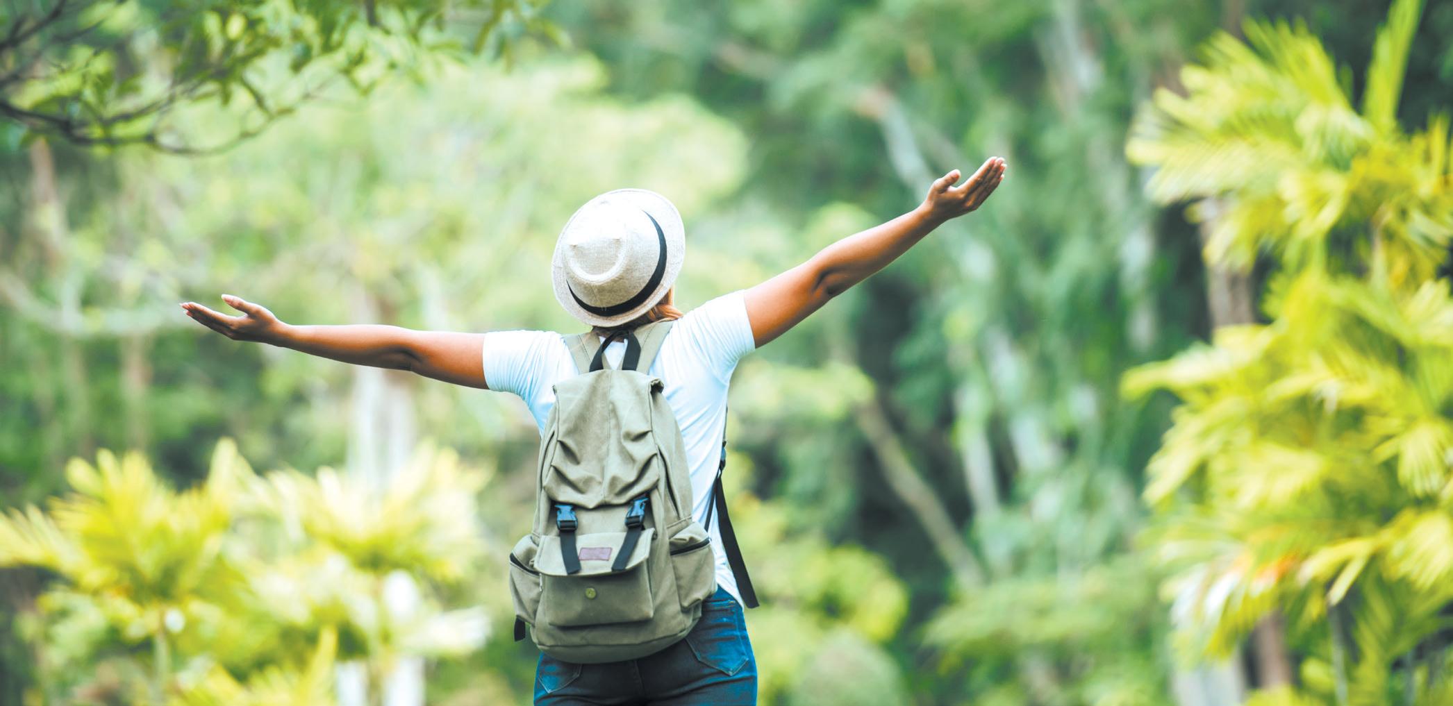 Making wellness a destination