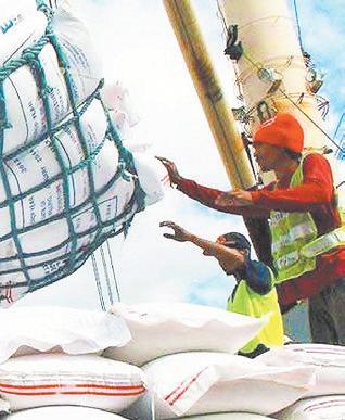DA to get 90% of subsidized rice next year from farmers