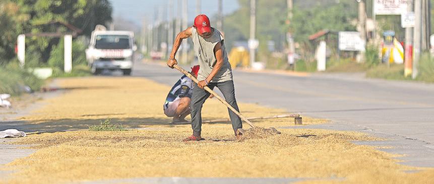Japan provides grant to set up Isabela rice facility