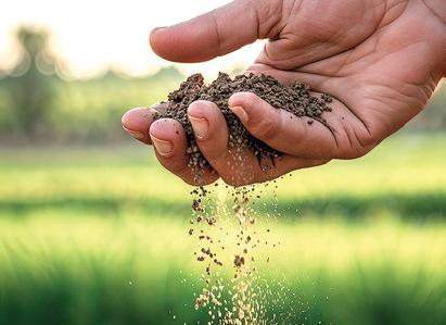 State-owned Planters Products imports 120,000 bags of fertilizer